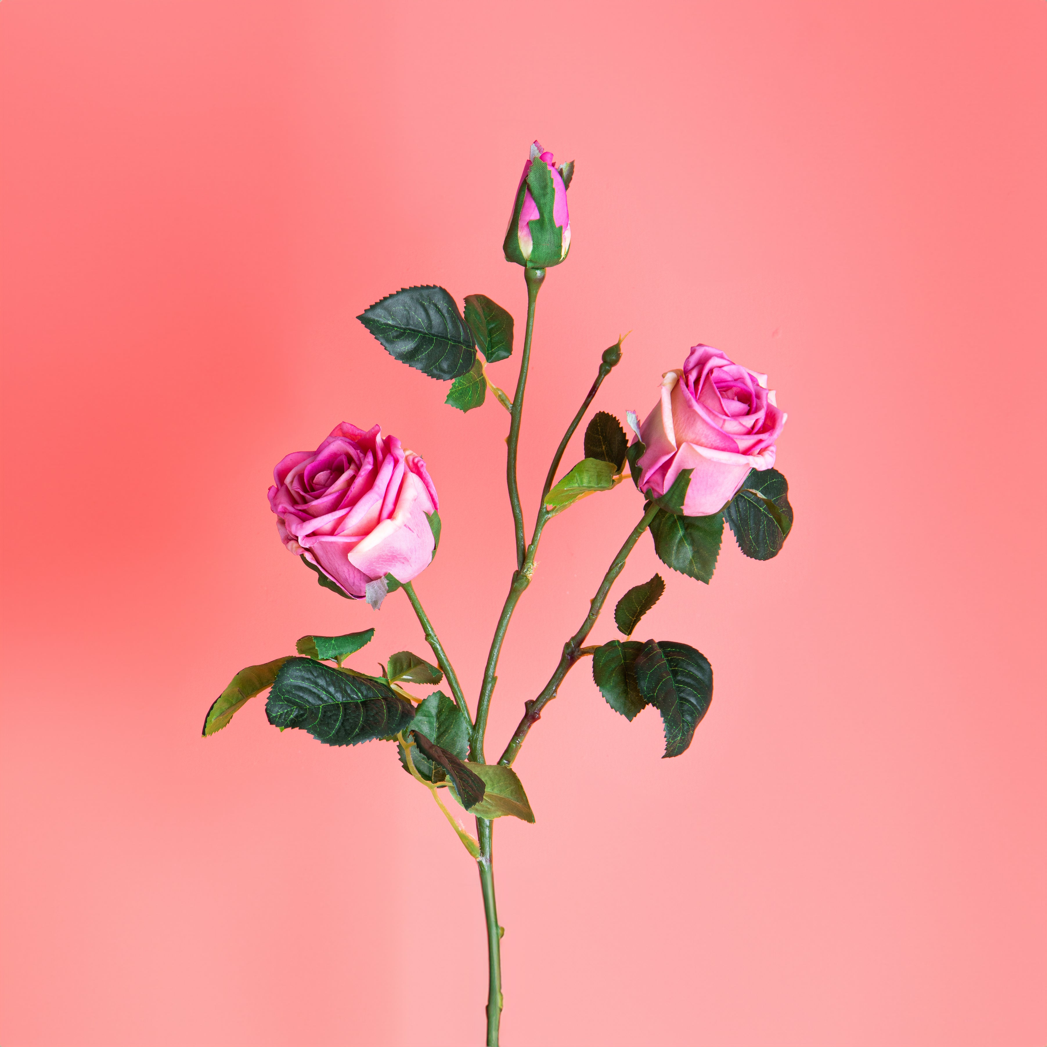 Rose finte – de-core