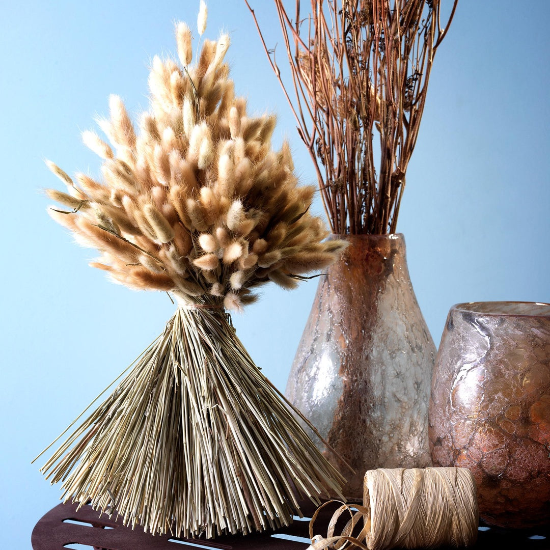 4 Pezzi • Lagurus naturale • 60 cm