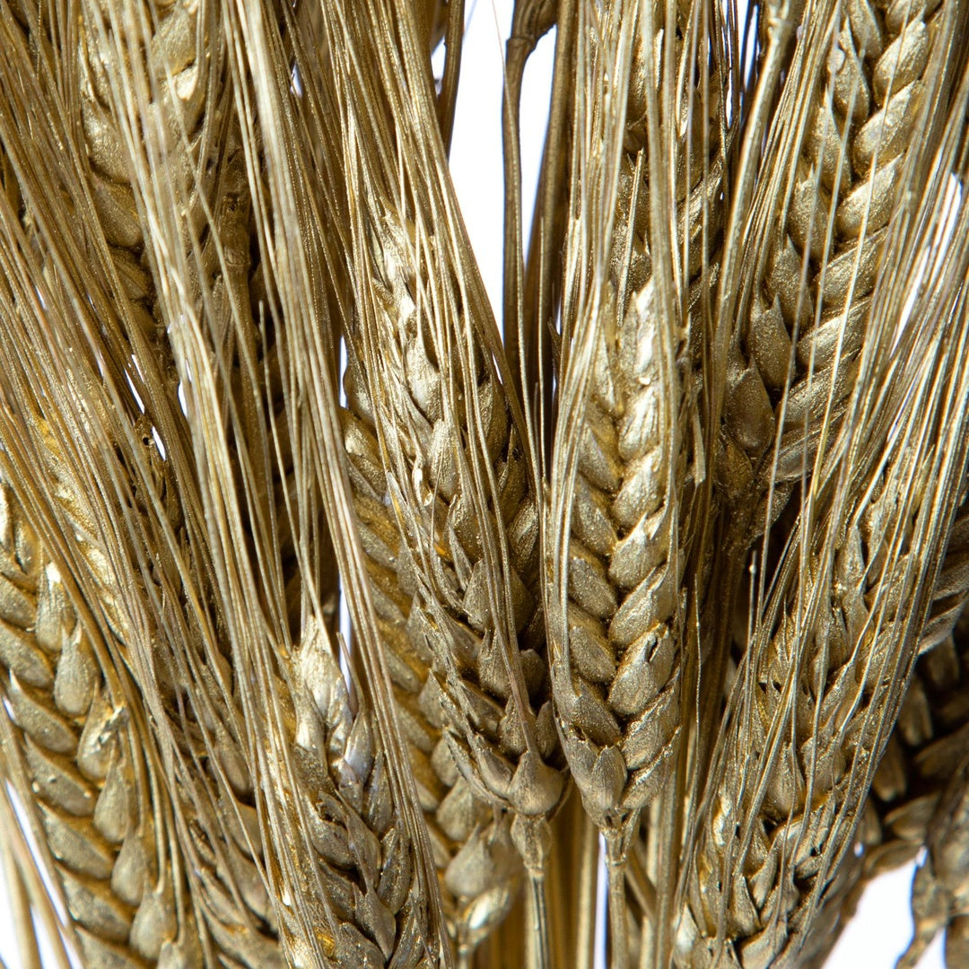 3 Pezzi • Grano triticum 200 pezzi • 90 cm