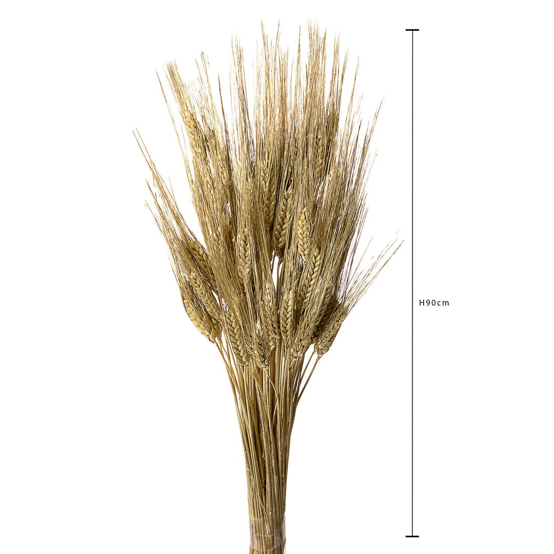 3 Pezzi • Grano triticum 200 pezzi • 90 cm