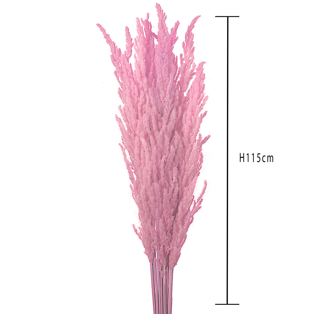 10 Pezzi • Piume-eryanthus colorata • 115 cm