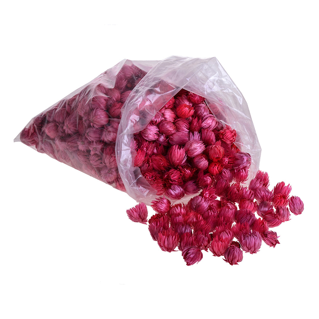 Capblumen Testa a Sacco 200 Gr circa Colorato • 26 cm