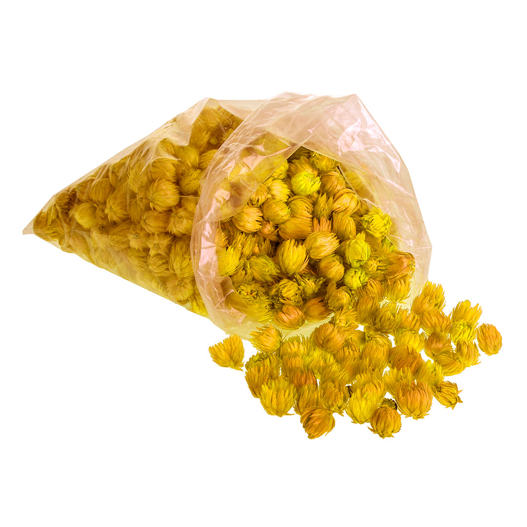 Capblumen Testa a Sacco 200 Gr circa Colorato • 26 cm
