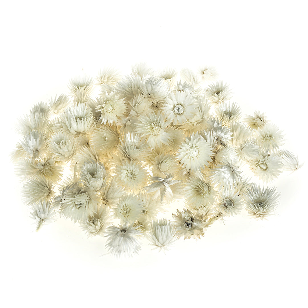 Capblumen Testa Sacco Naturali • 26 cm