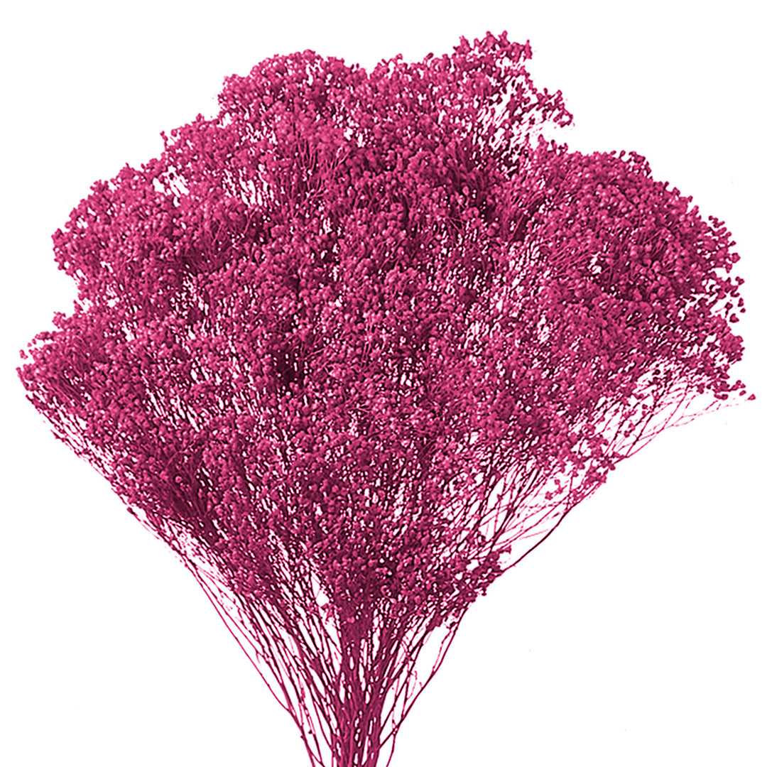 5 Pezzi • Broom bloom • 40 cm