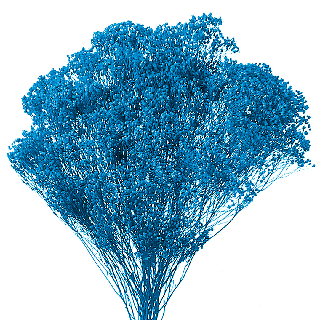 5 Pezzi • Broom bloom • 40 cm