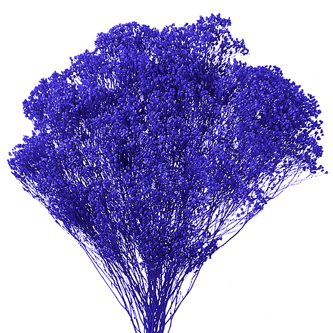 5 Pezzi • Broom bloom • 40 cm