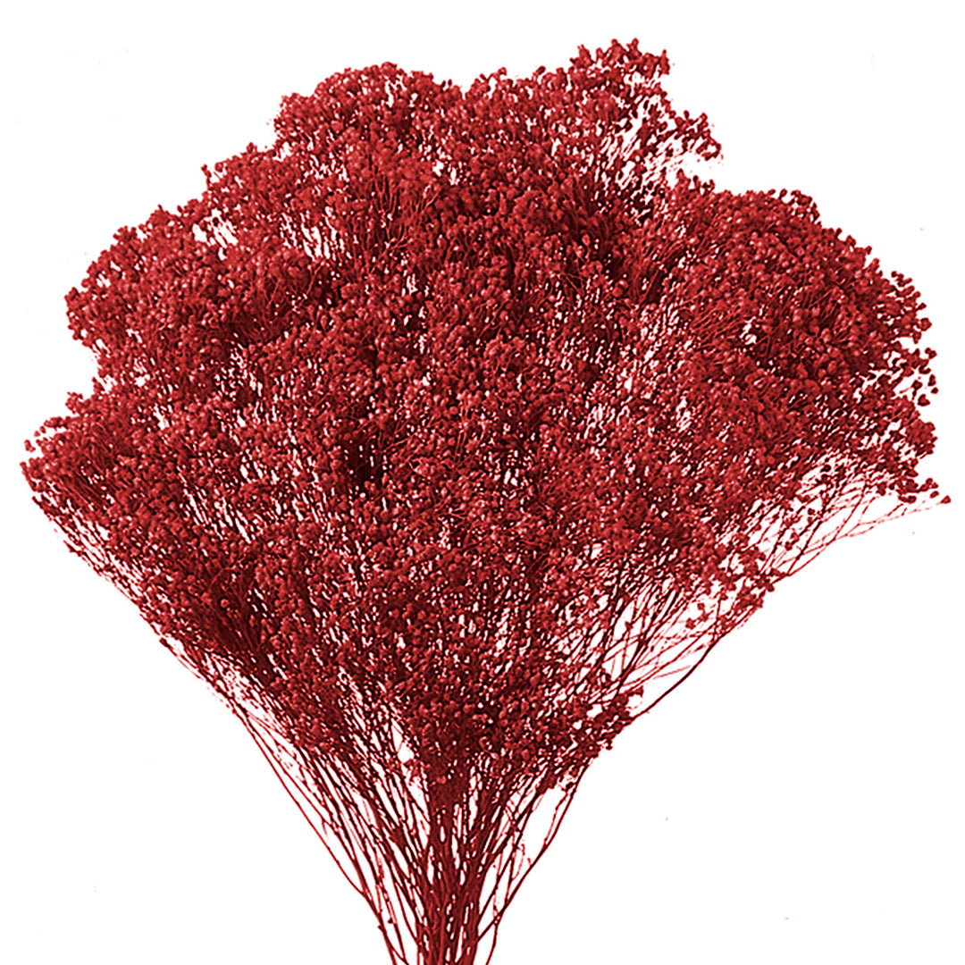 5 Pezzi • Broom bloom • 40 cm