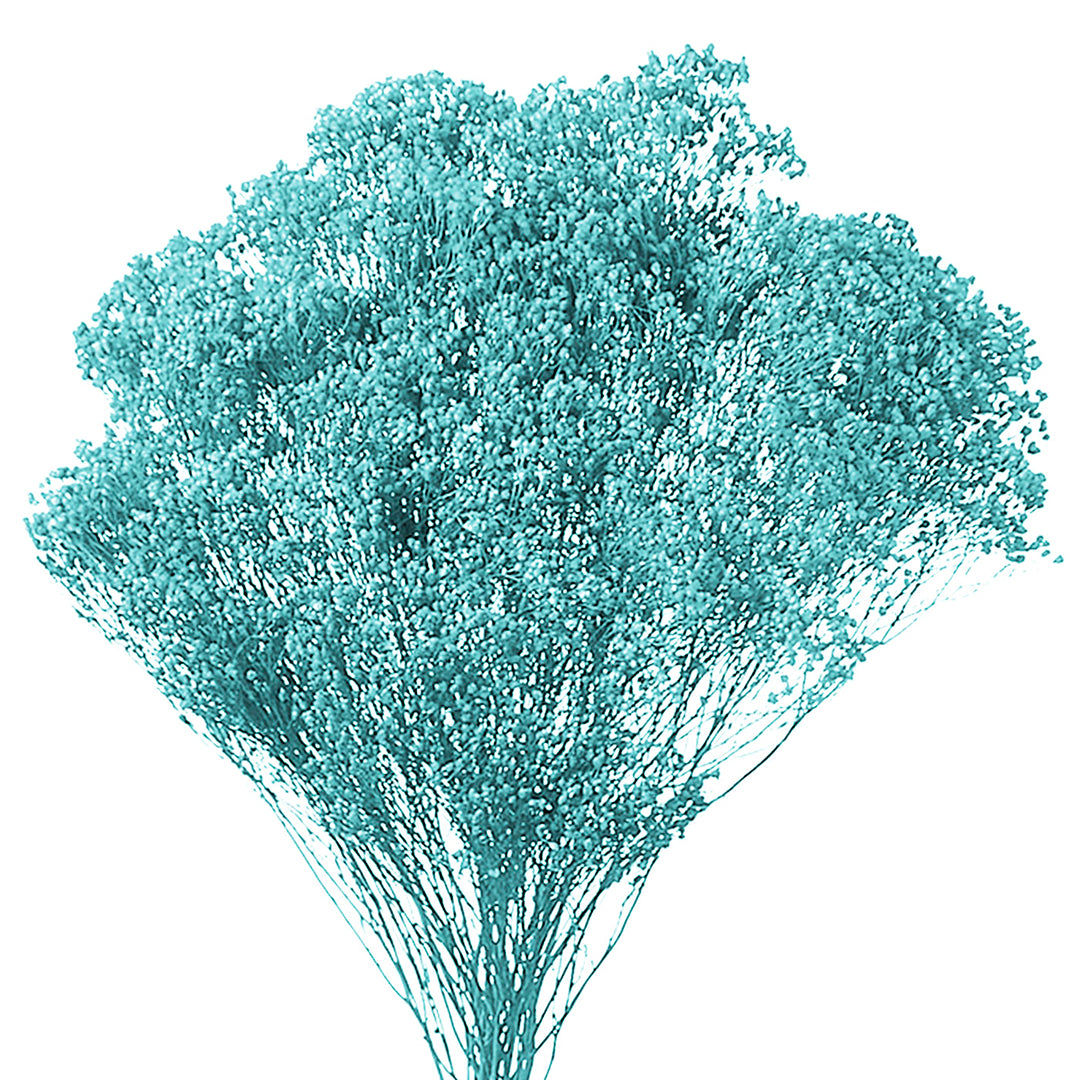5 Pezzi • Broom bloom • 40 cm