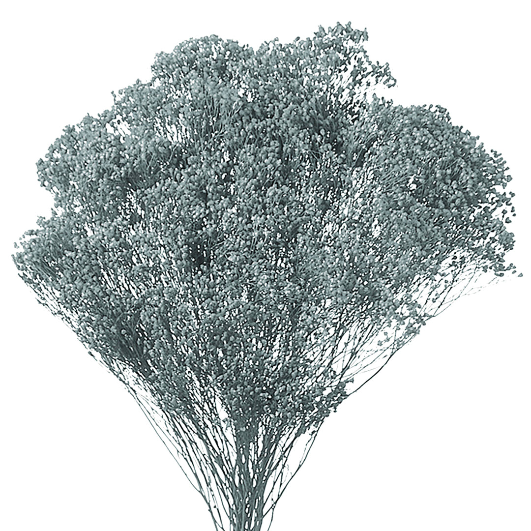 5 Pezzi • Broom bloom • 40 cm