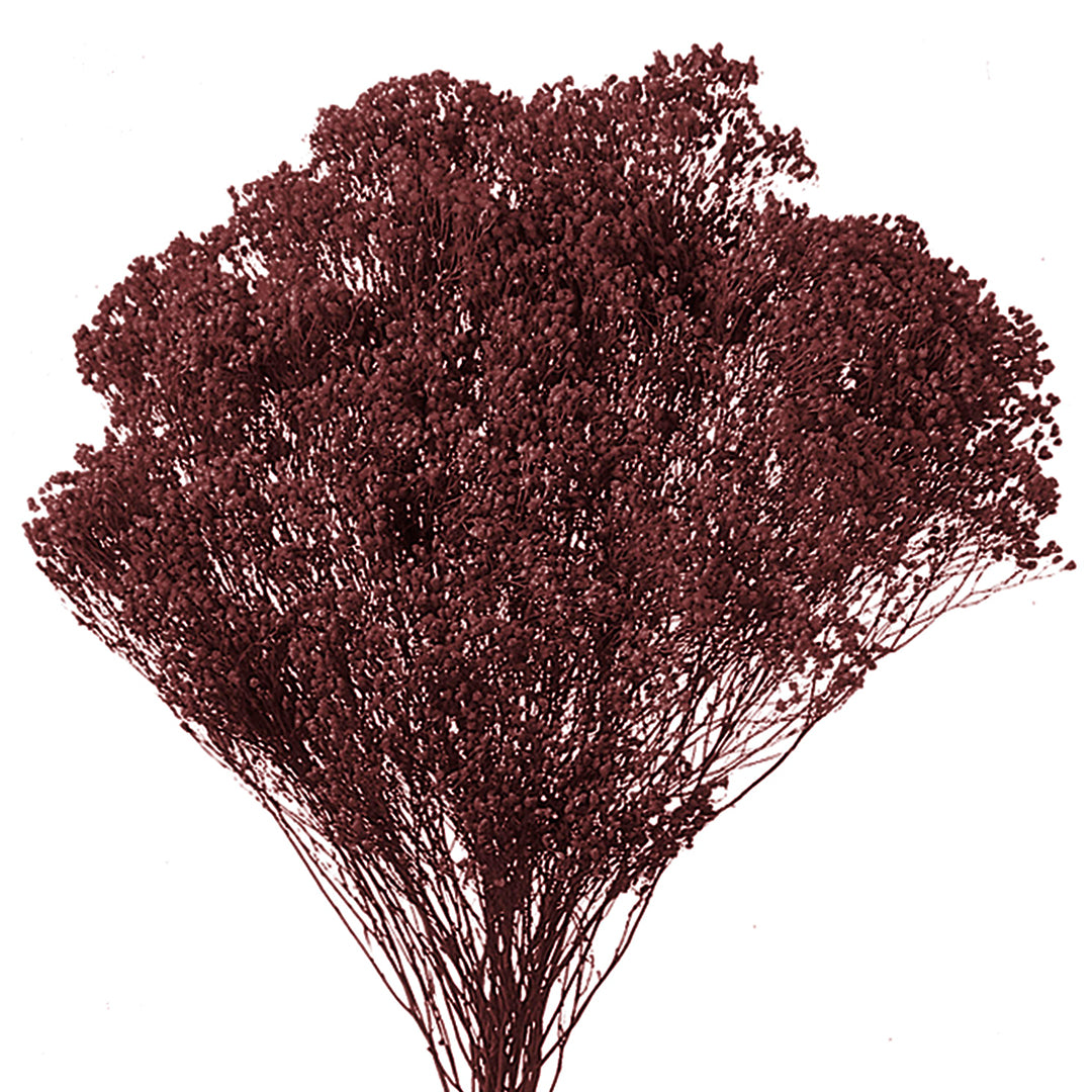 5 Pezzi • Broom bloom • 40 cm