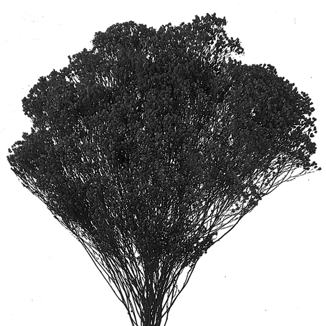 5 Pezzi • Broom bloom • 40 cm