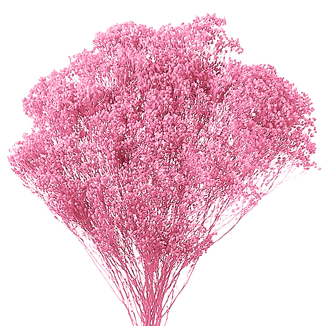5 Pezzi • Broom bloom • 40 cm