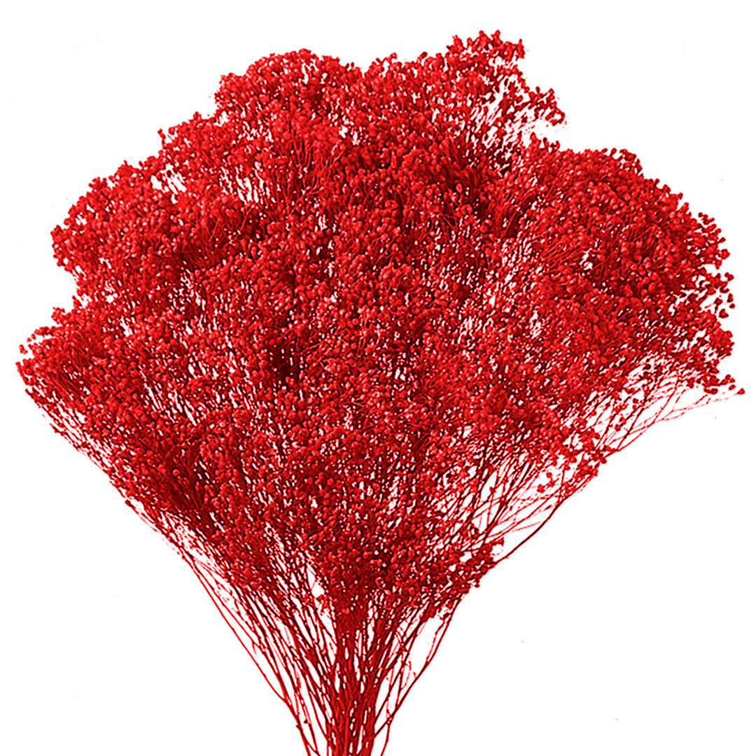 5 Pezzi • Broom bloom • 40 cm