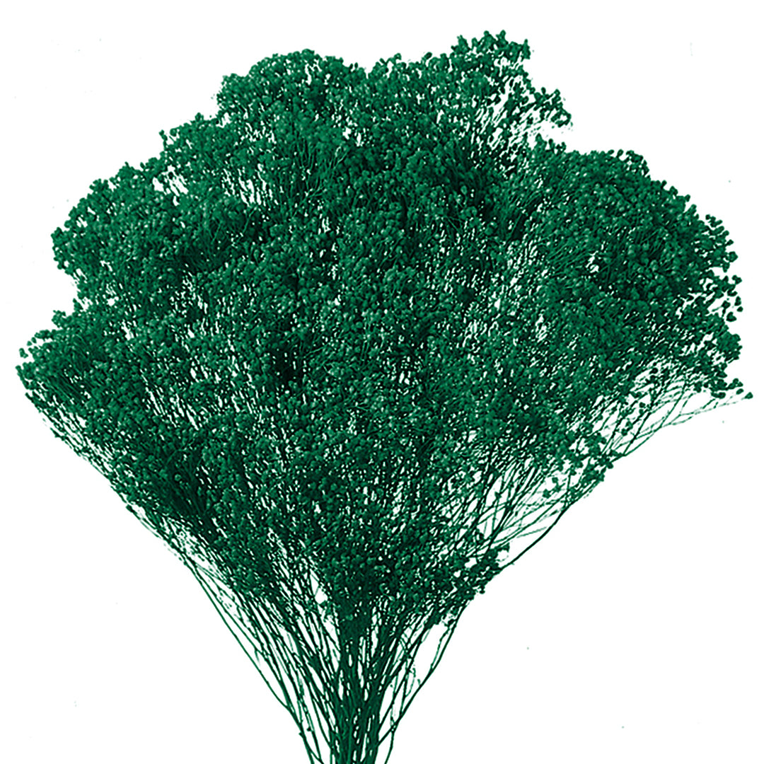 5 Pezzi • Broom bloom • 40 cm