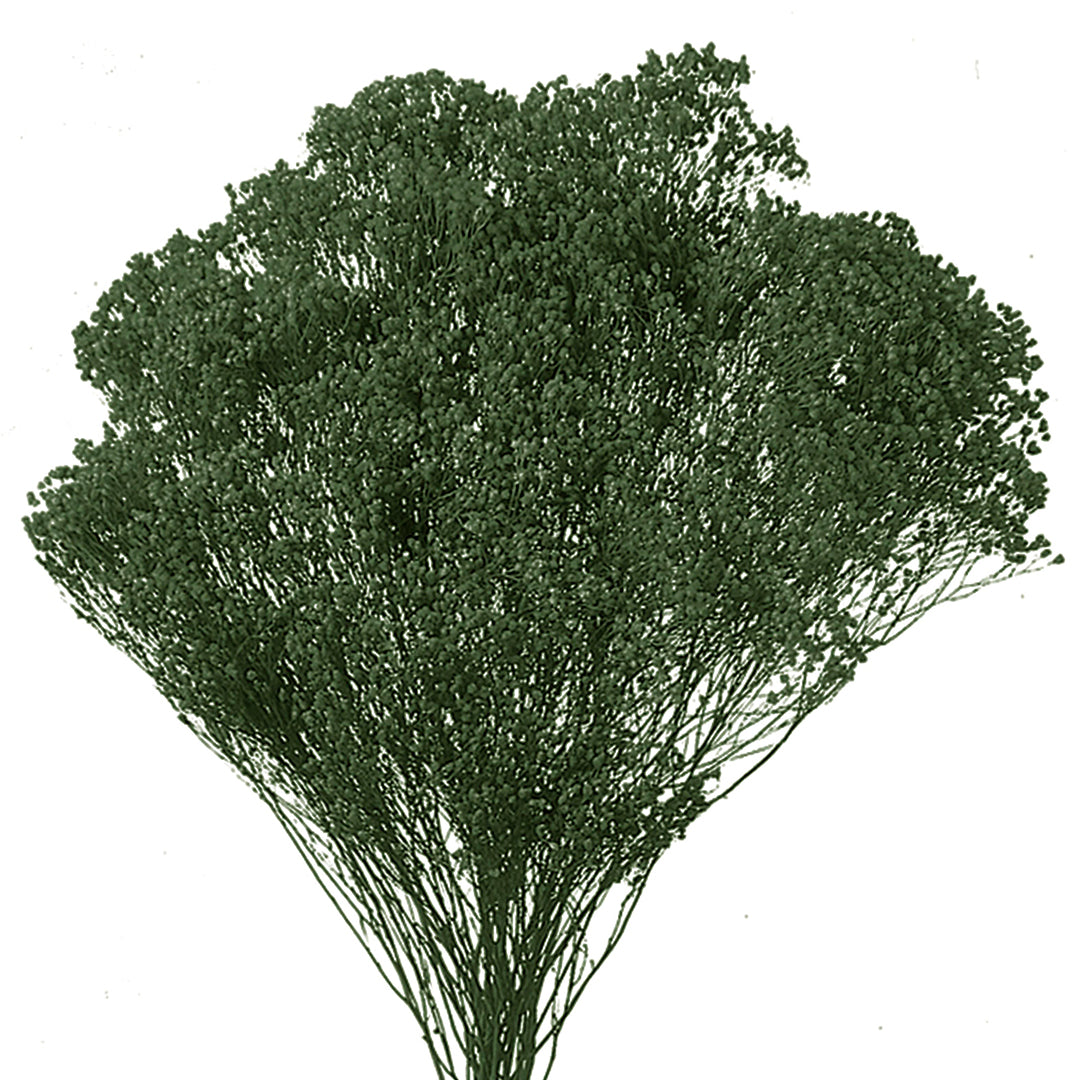 5 Pezzi • Broom bloom • 40 cm
