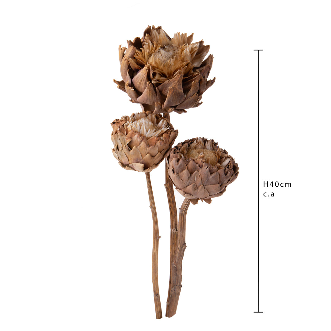 Carciofi naturali in fiore • 40 cm