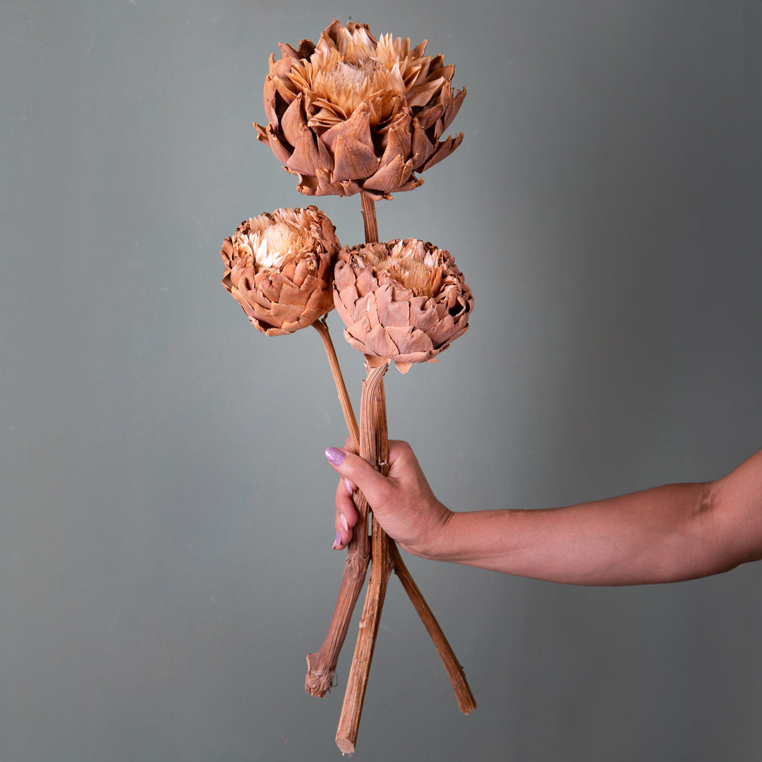 Carciofi naturali in fiore • 40 cm