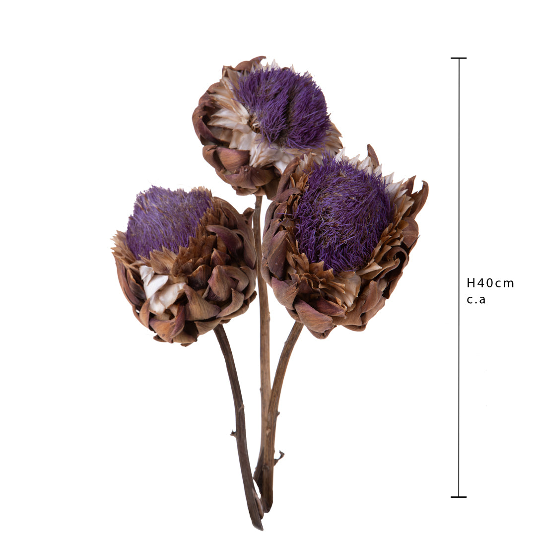 Carciofi in fiore blu • 40 cm