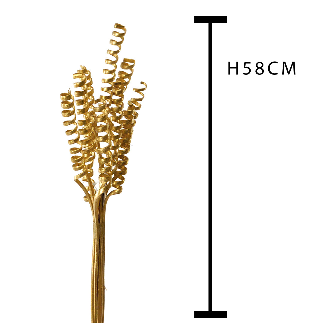 4 Pezzi • Giunchi cone naturali 40 pezzi • 58 cm