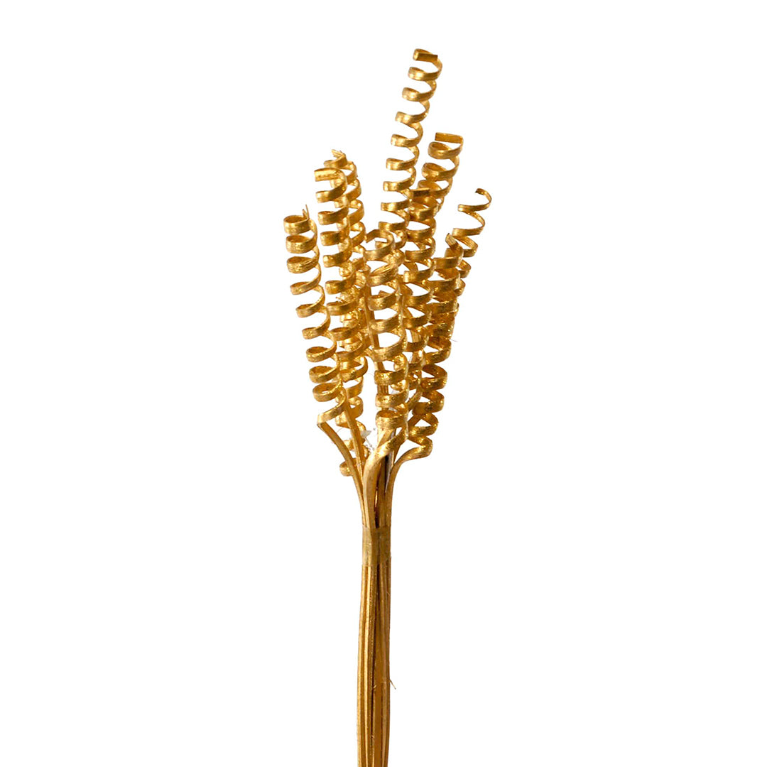 4 Pezzi • Giunchi cone naturali 40 pezzi • 58 cm