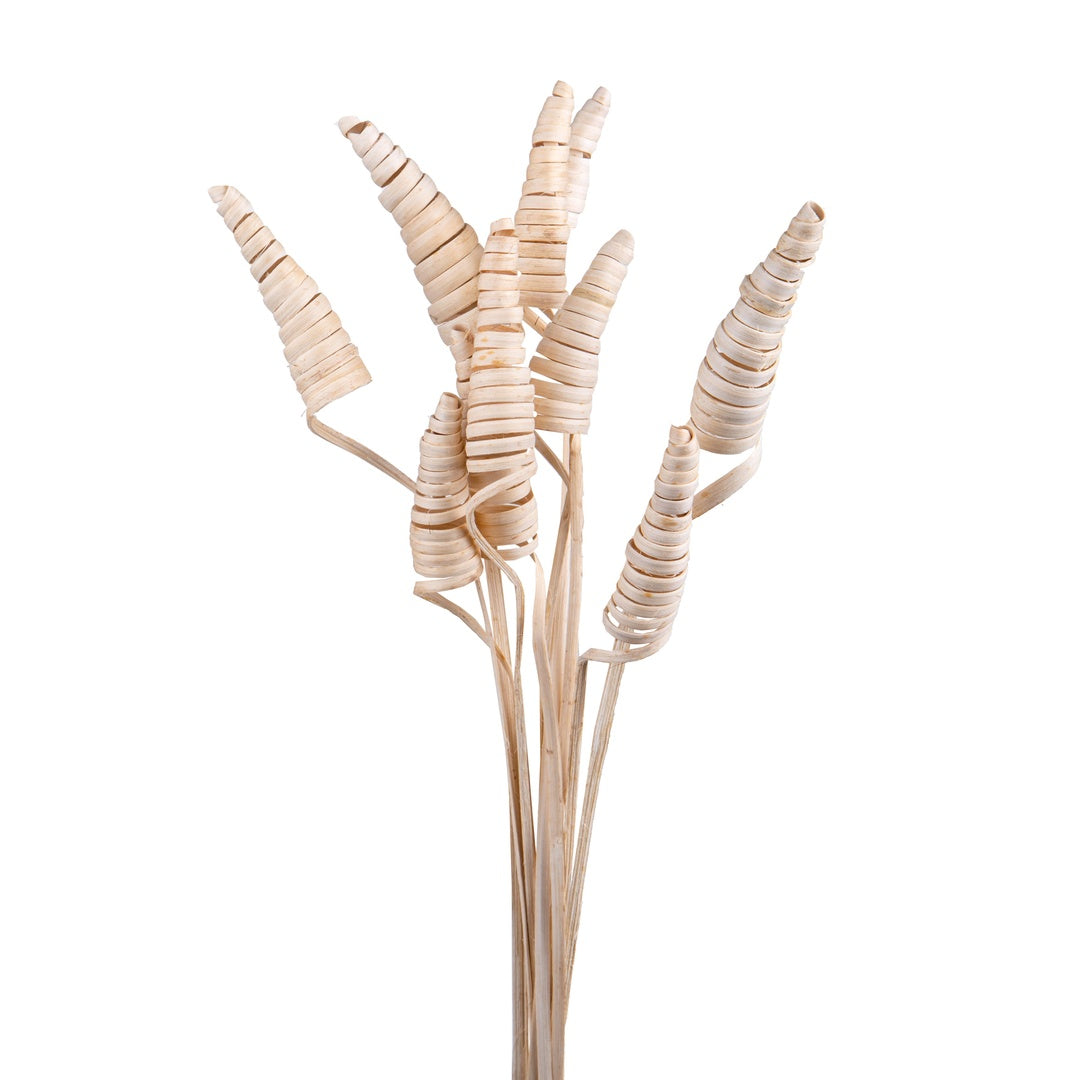 6 Pezzi • Giunchi cone bianchi con glitter 50 pezzi • 55 cm