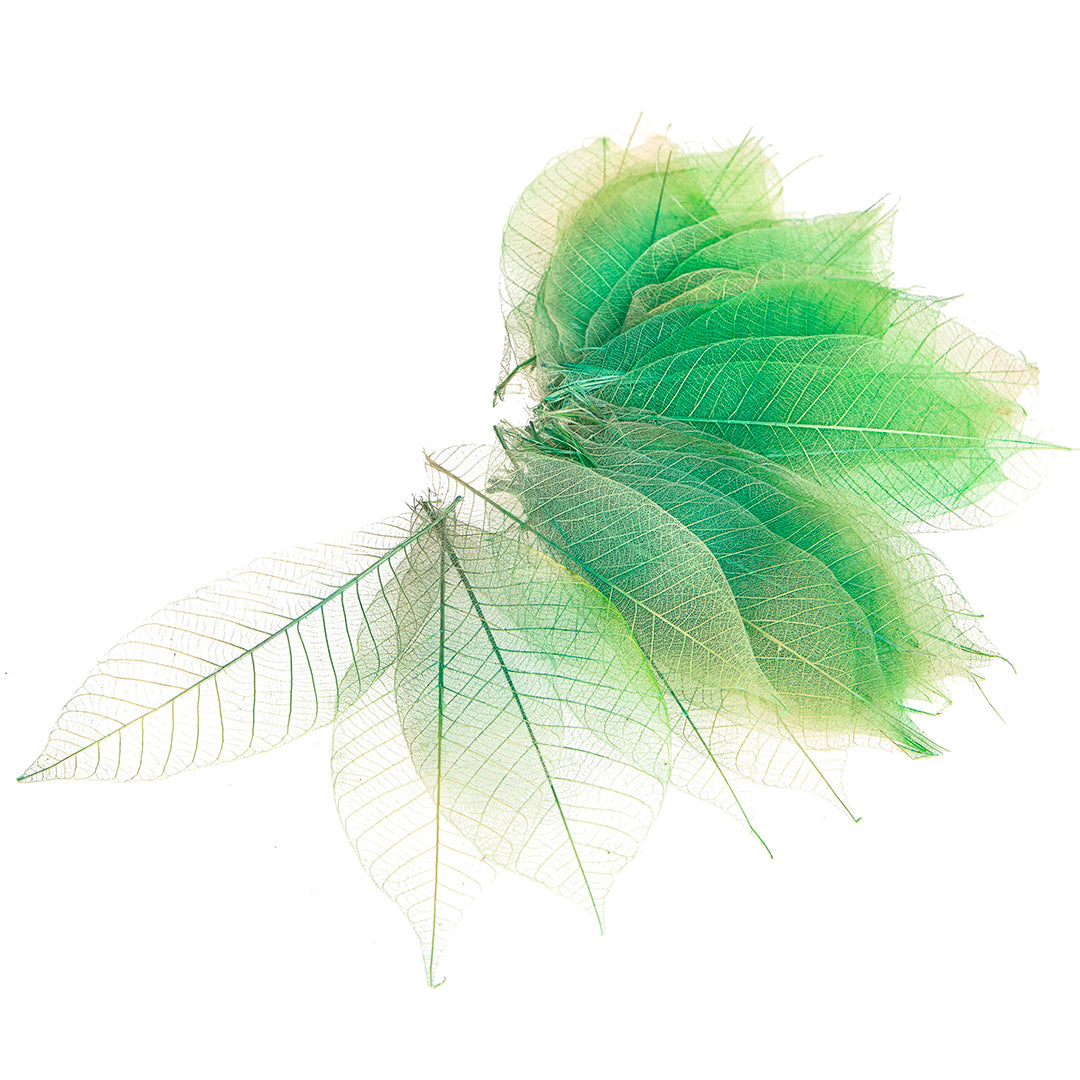 4 Pezzi • Foglie scheletriche sfumate • 5 cm