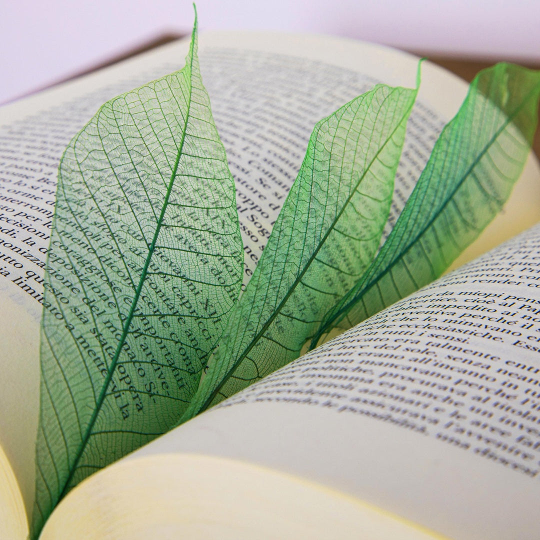 4 Pezzi • Foglie scheletriche sfumate • 5 cm