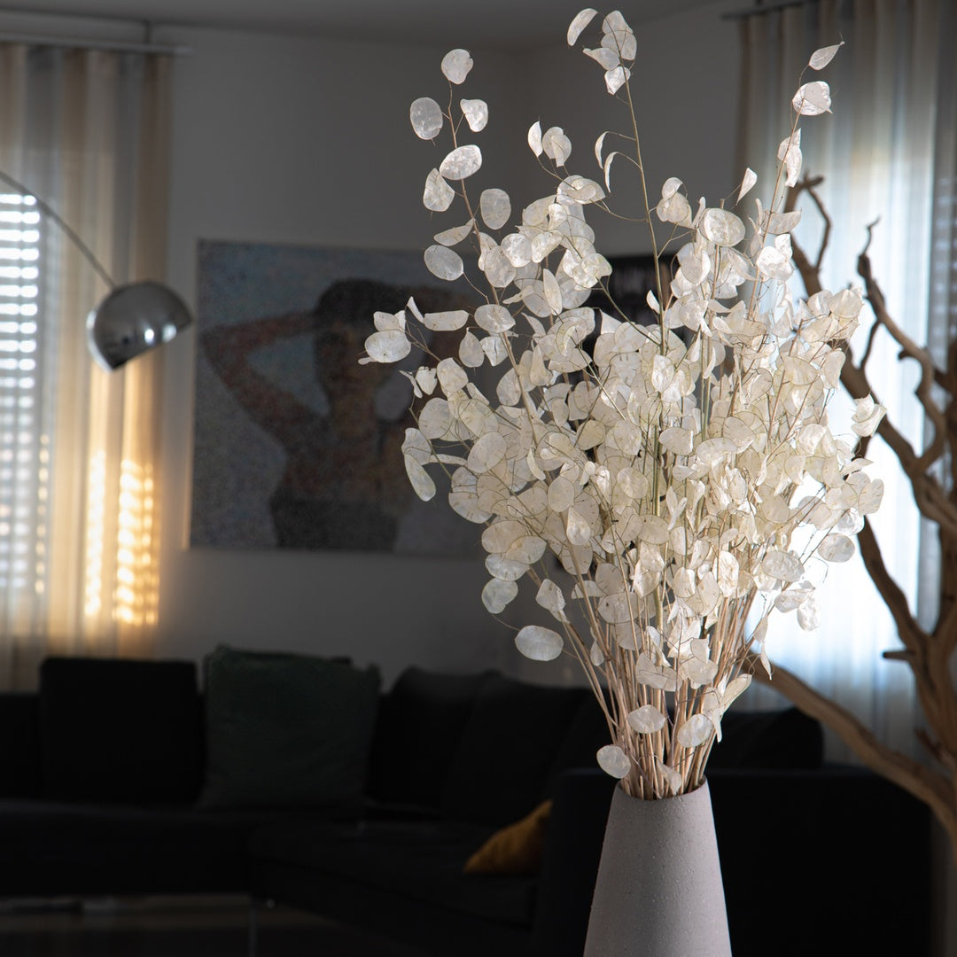 2 Pezzi • Lunaria rediviva 5 rami circa • 90 cm