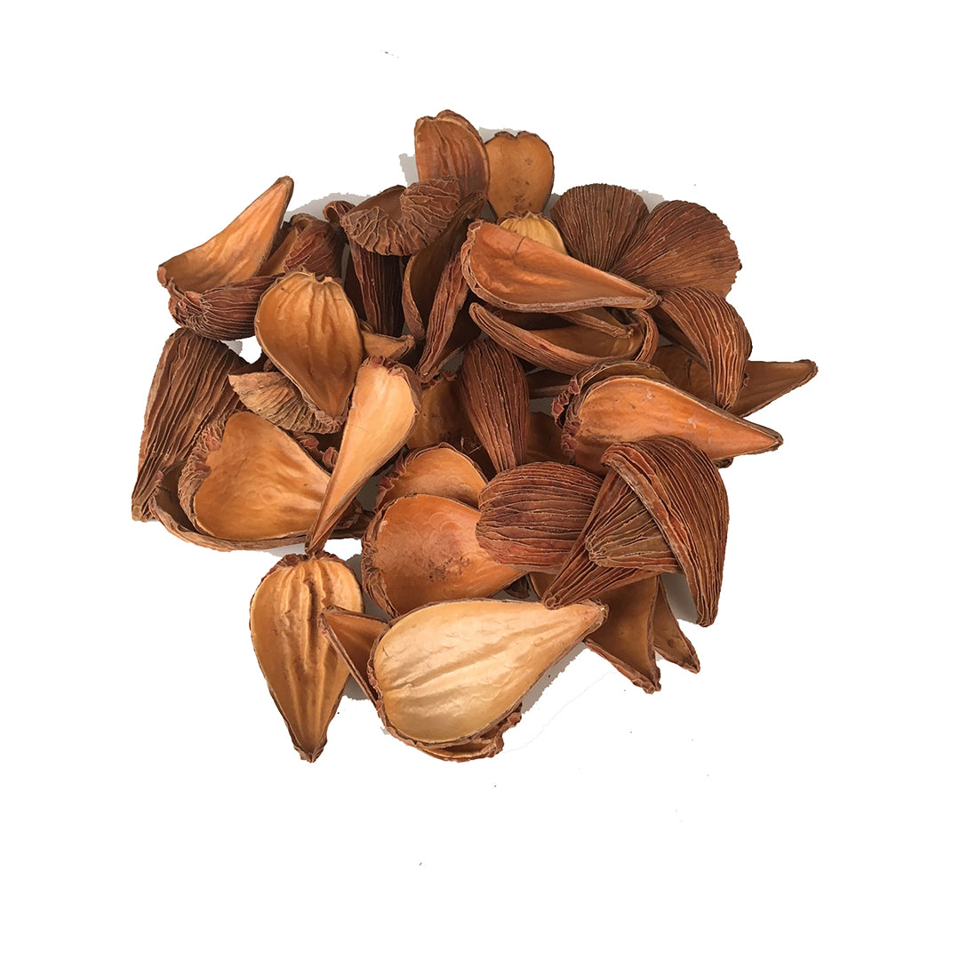 4 Pezzi • Foglie Pradip-Arti Pod 200 Gr Sacco Nat. • 25 cm