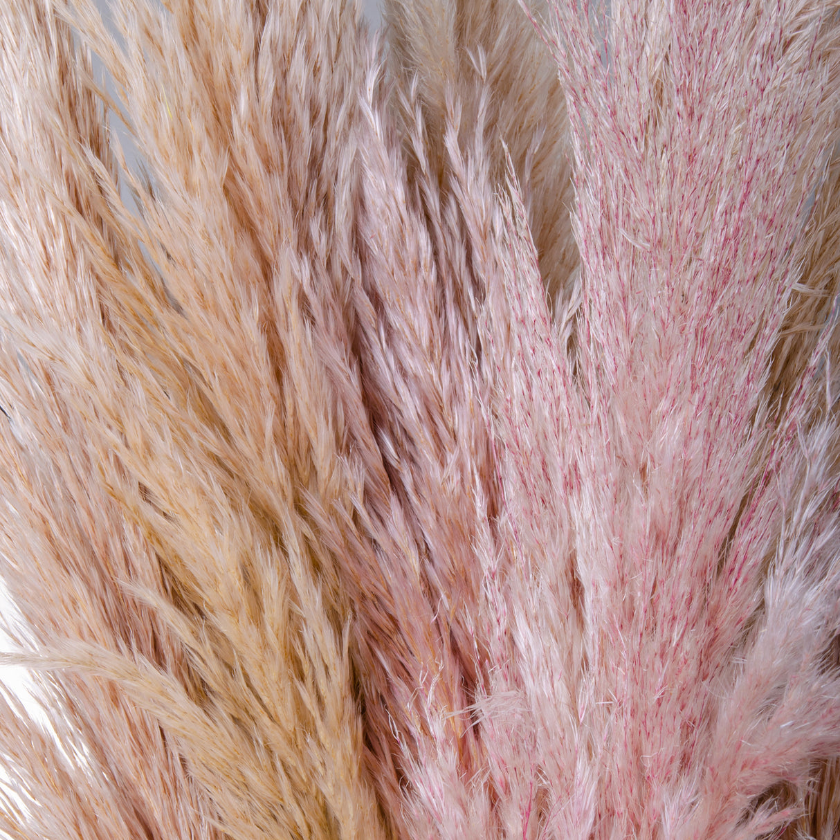 3 Pezzi • Pampas naturale • 110