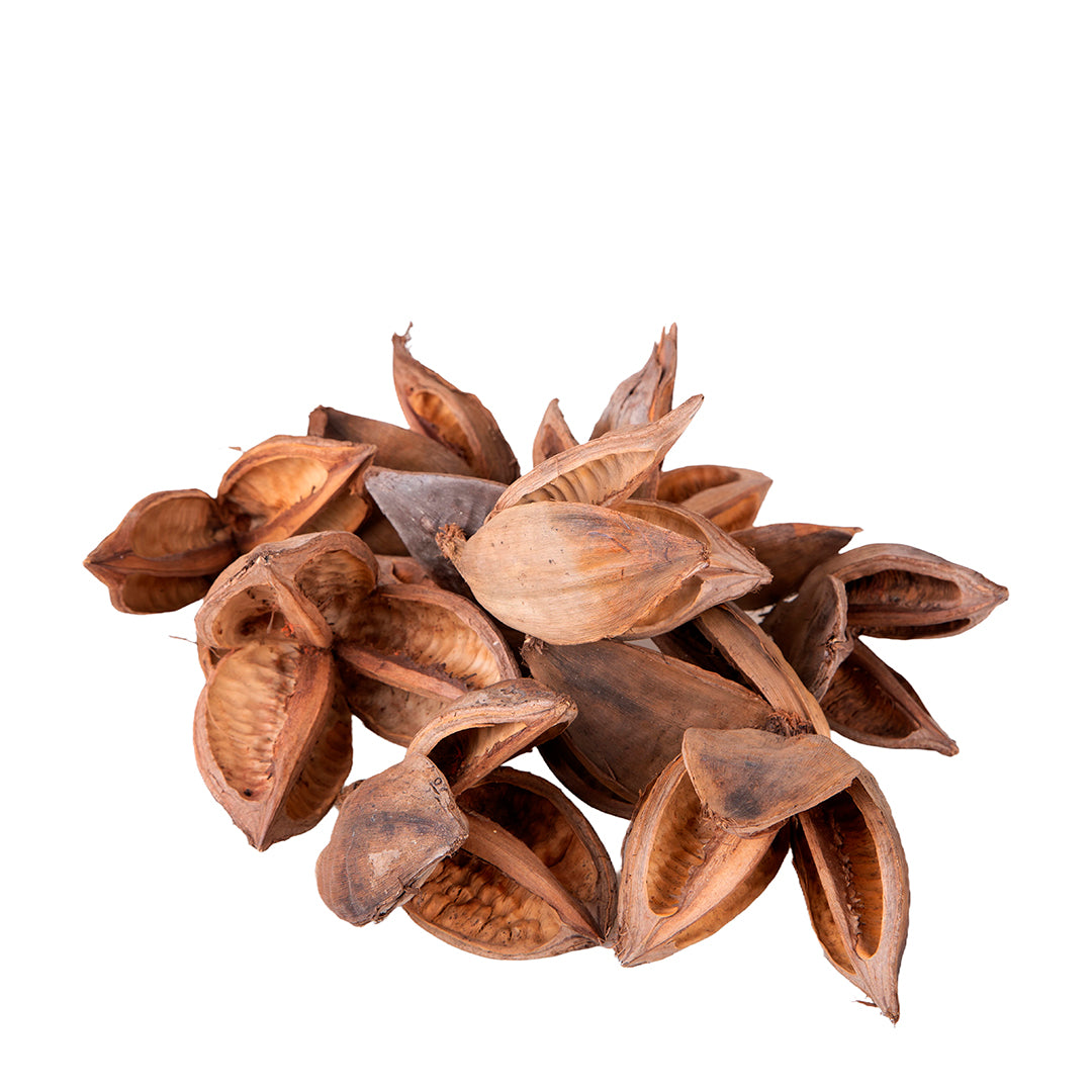 Capblumen Testa a Sacco 200 Gr circa Colorato • 26 cm