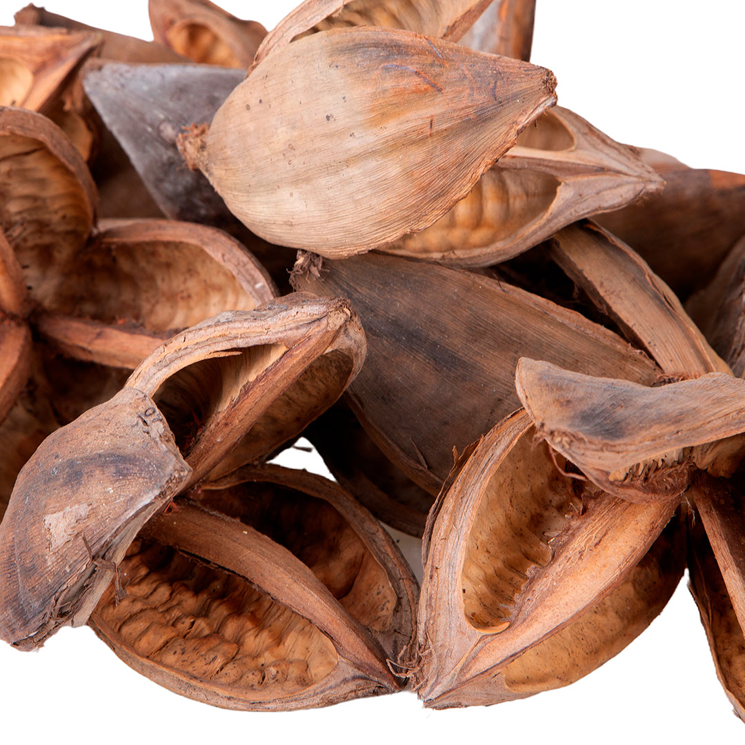 Capblumen Testa a Sacco 200 Gr circa Colorato • 26 cm