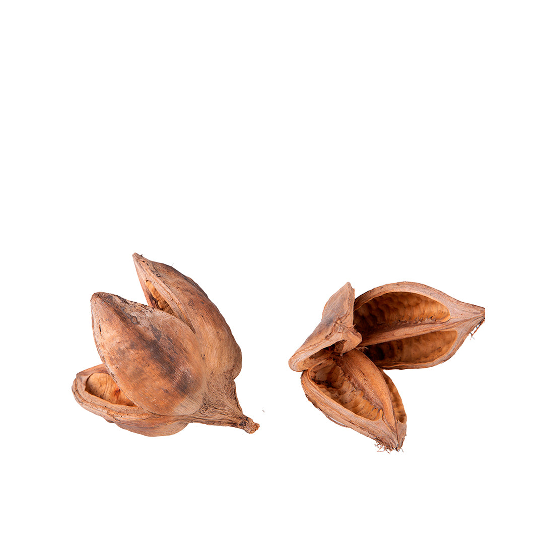 Capblumen Testa a Sacco 200 Gr circa Colorato • 26 cm