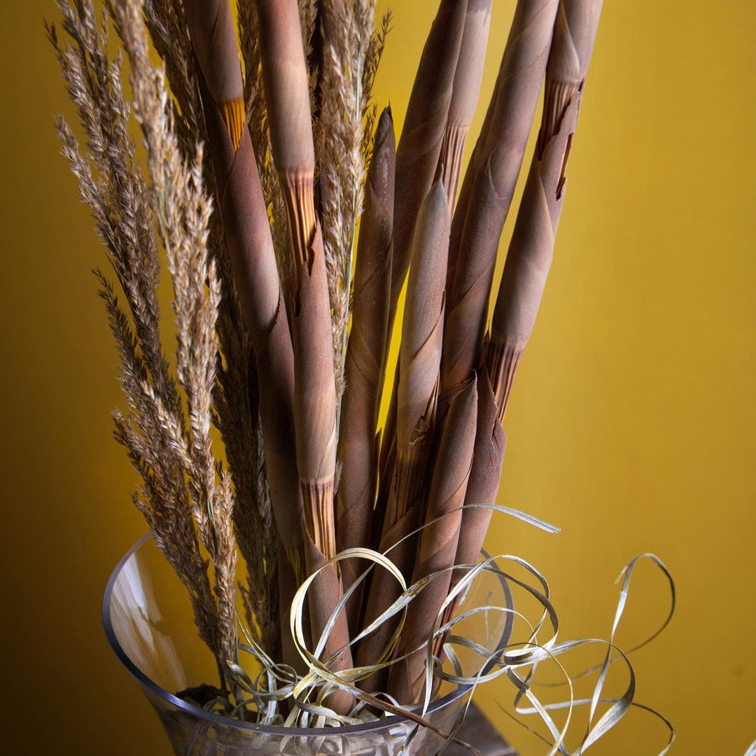 15 Pezzi • Assegai 18 pezzi • 9,5 cm