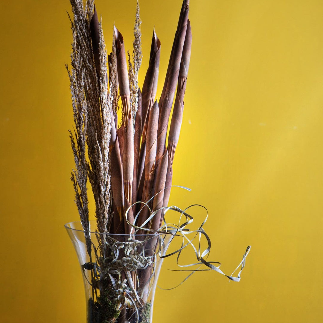 15 Pezzi • Assegai 18 pezzi • 9,5 cm