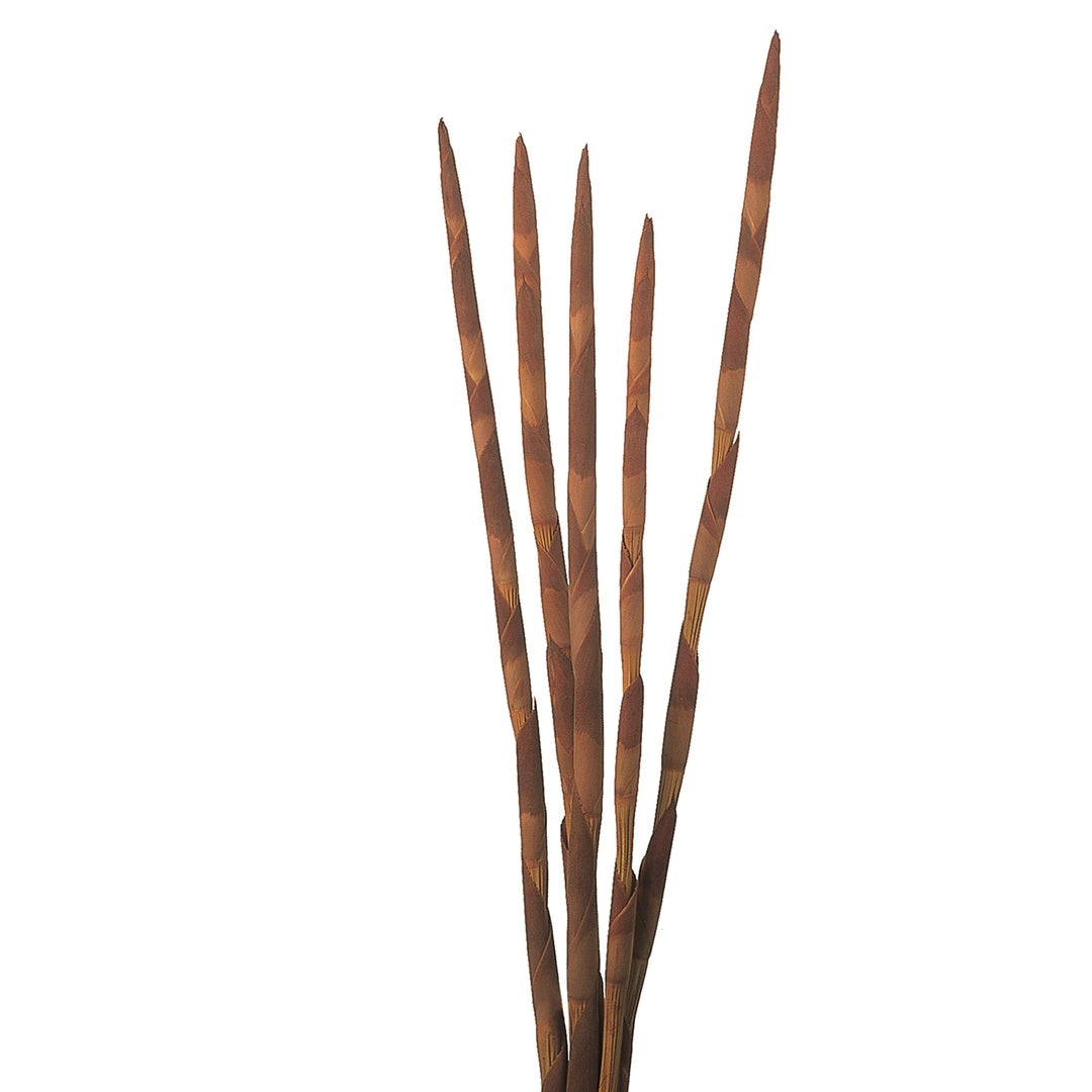 15 Pezzi • Assegai 18 pezzi • 9,5 cm