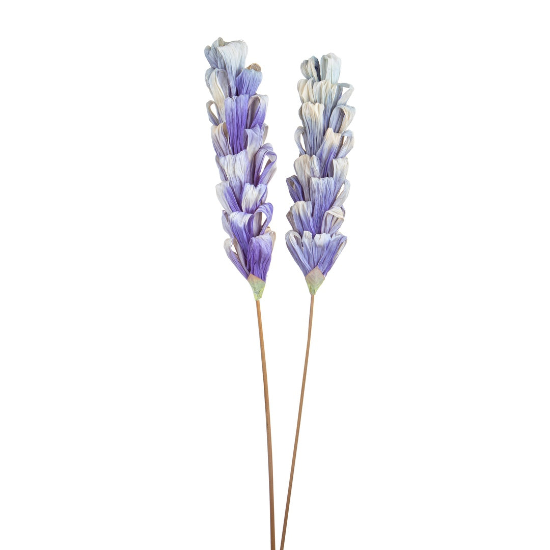 5 Pezzi • Protea silvia 5 pezzi • 90 cm