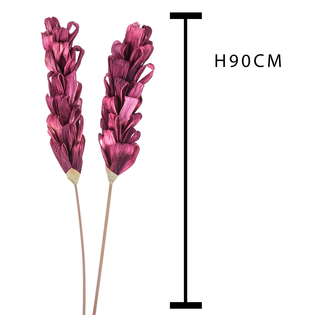 5 Pezzi • Protea silvia 5 pezzi • 90 cm