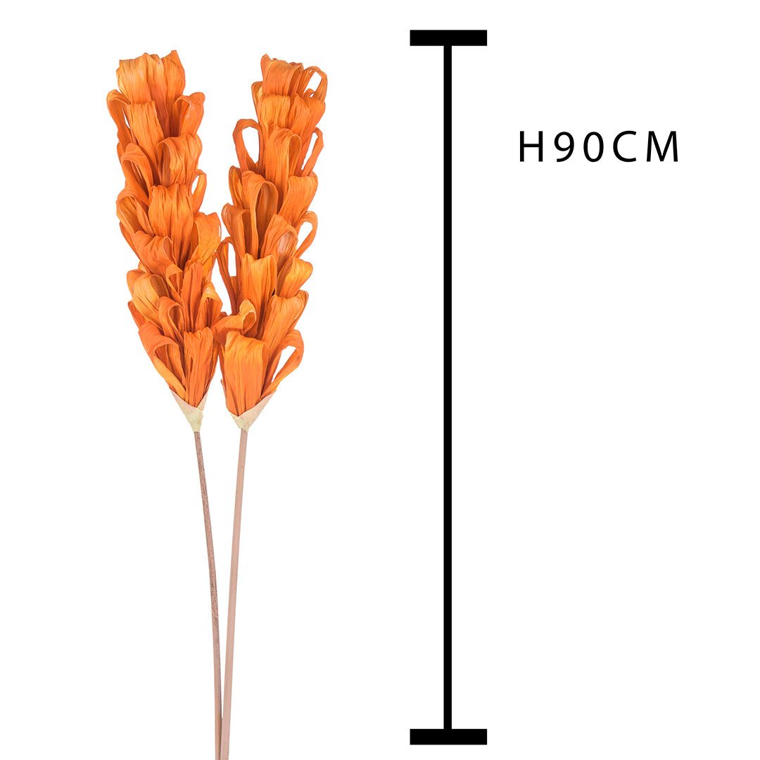 5 Pezzi • Protea silvia 5 pezzi • 90 cm