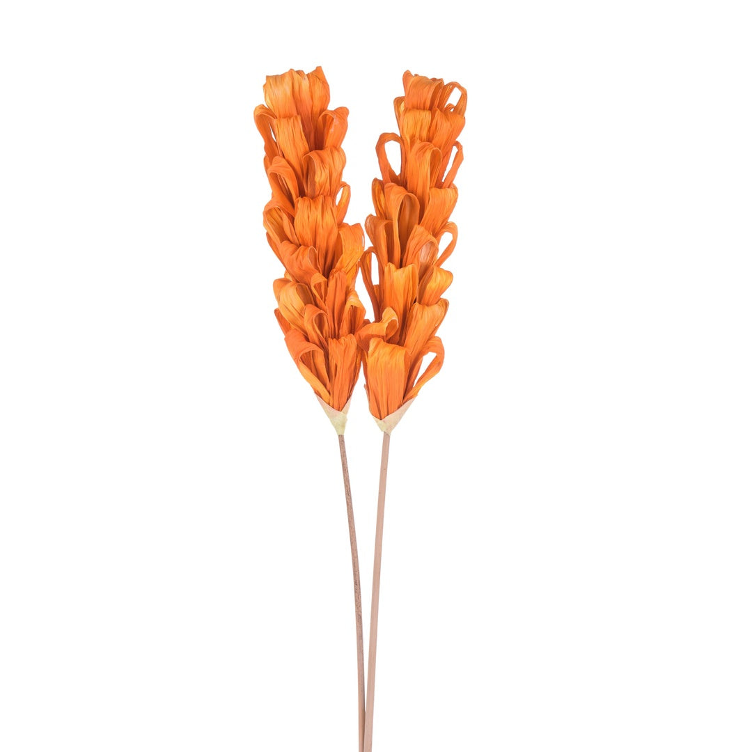 5 Pezzi • Protea silvia 5 pezzi • 90 cm
