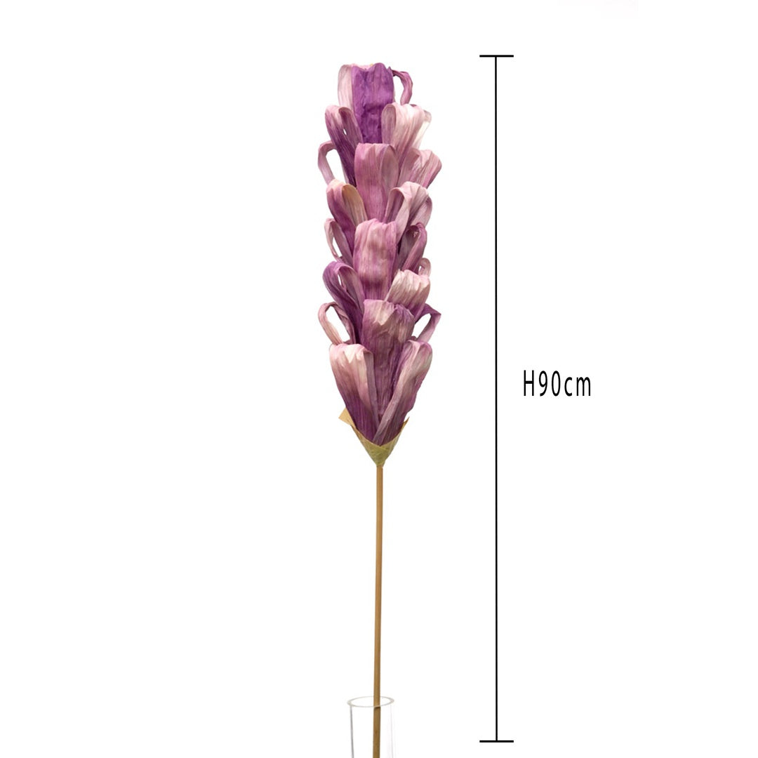 5 Pezzi • Protea silvia 5 pezzi • 90 cm