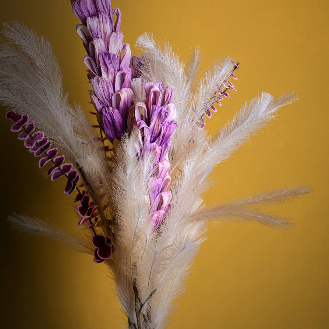 5 Pezzi • Protea silvia 5 pezzi • 90 cm