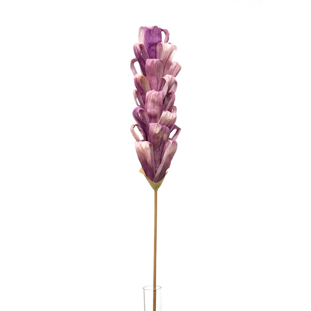5 Pezzi • Protea silvia 5 pezzi • 90 cm