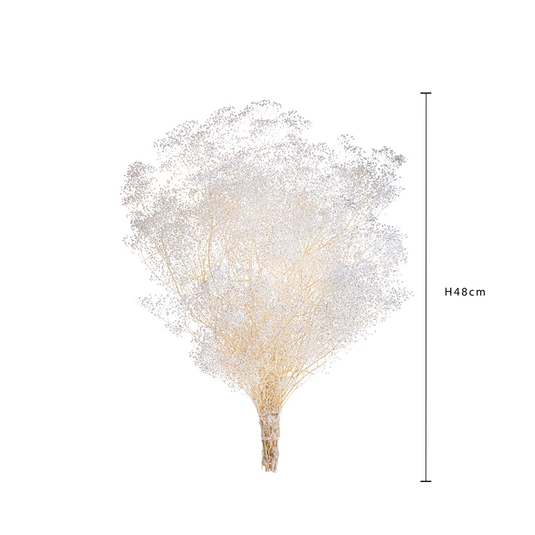 Gypsophila mini preservata con • 48 cm