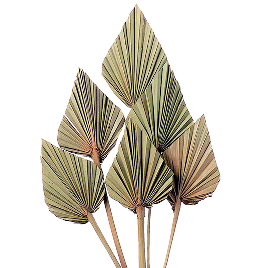 4 Pezzi • Palm spear mini 5 mazzi da 20 pezzi natalizio • 40 cm