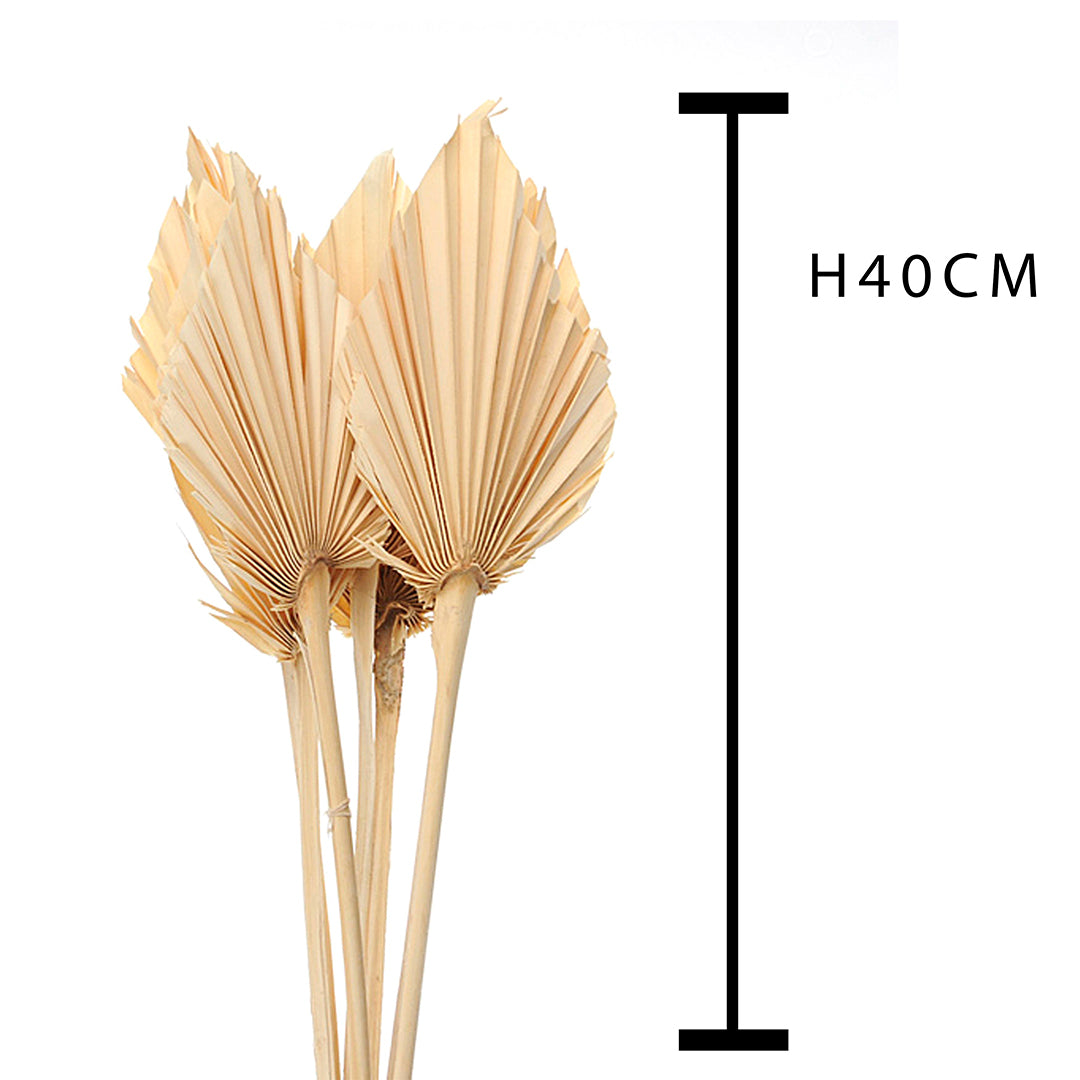 4 Pezzi • Palm spear 5 mazzi da 7 pezzi bianca • 40 cm