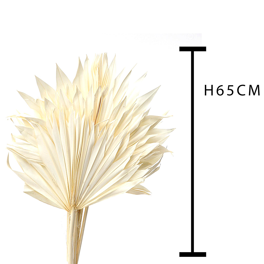 4 Pezzi • Palm sun cut 3 mazzi da 7 pezzi bianche • 65 cm