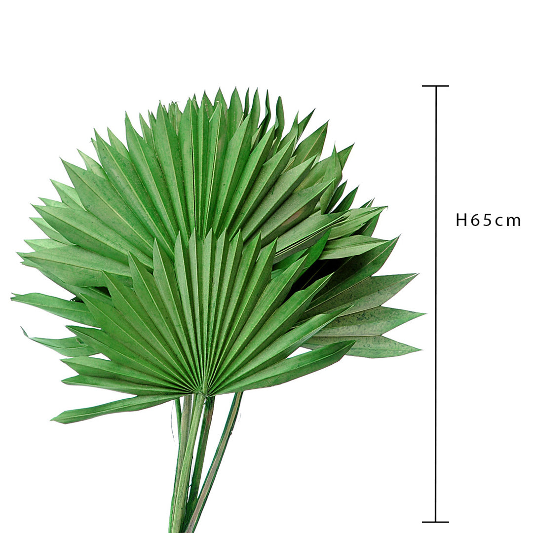 4 Pezzi • Palm sun cut 5 mazzi da 7 pezzi colorate • 65 cm