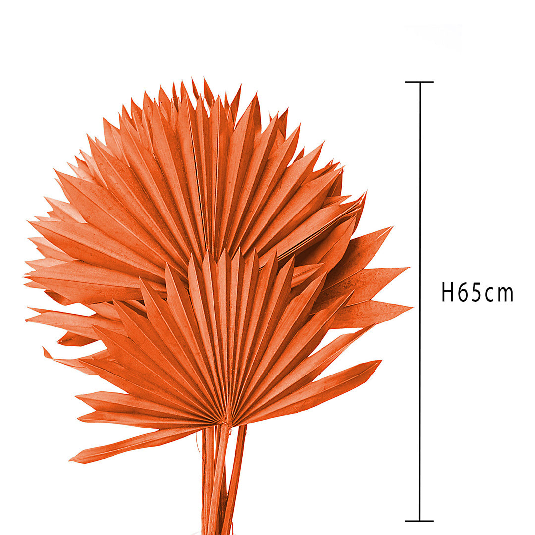 4 Pezzi • Palm sun cut 5 mazzi da 7 pezzi colorate • 65 cm